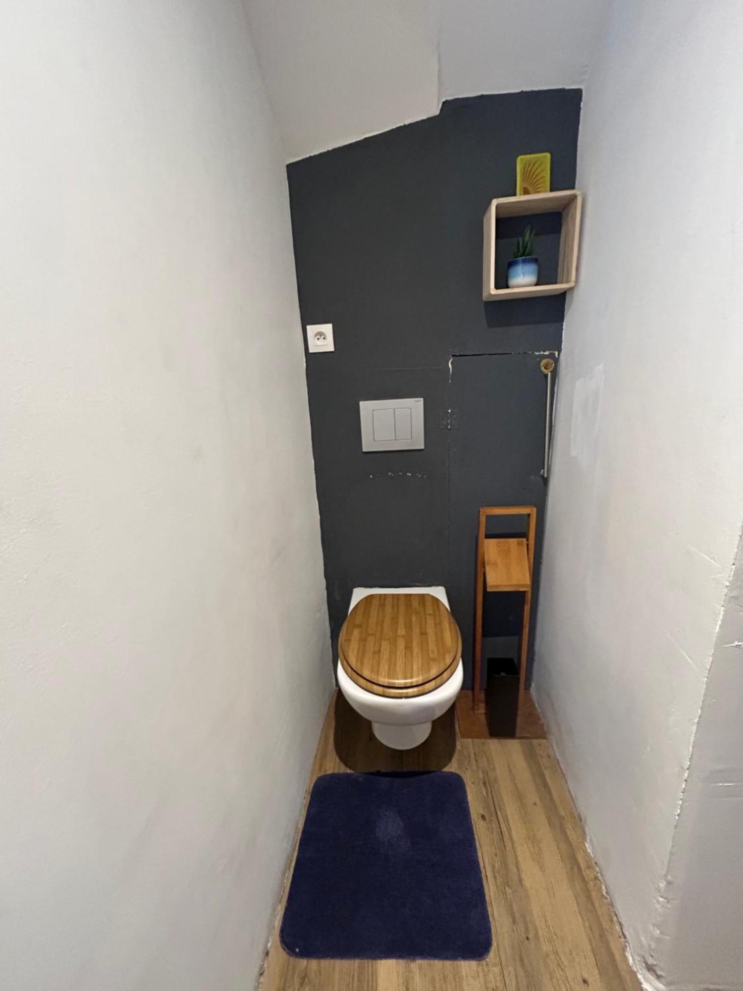 Le Reve Divin T3 En Hyper Centre Apartment ลูร์ด ภายนอก รูปภาพ